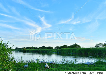 Summer of Luohu 82881981