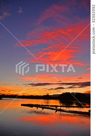 羅湖之夏 82882092