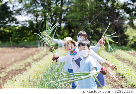 Family doing farm work 82882138
