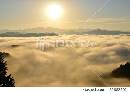 野坂川村的雲海 82882202