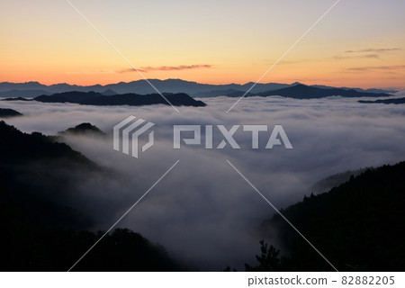 野坂川村的雲海 82882205