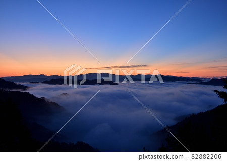 野坂川村的雲海 82882206