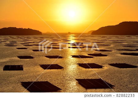 蟲師明門的朝日 82882233