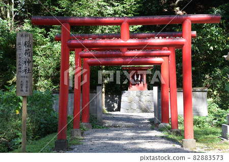 日向國一宮津野神社稻荷神社 日向國一宮津野神社稻荷神社 82883573