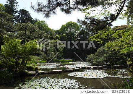 Heian Jingu Shrine Pond and water lily Heian Jingu Shrine Pond and water lily 82883938