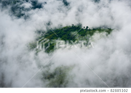 Clouds, mist, cover the mountain peaks, tropical rainforests, Thailand 82885102