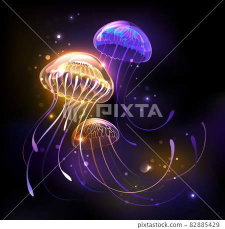 Three glowing jellyfish Three glowing jellyfish 82885429