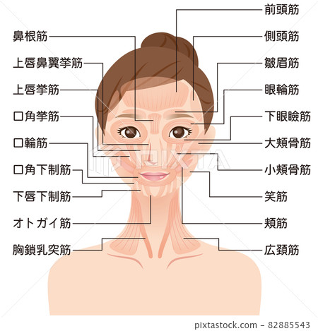 面部肌肉的作用機制 美容醫學 82885543