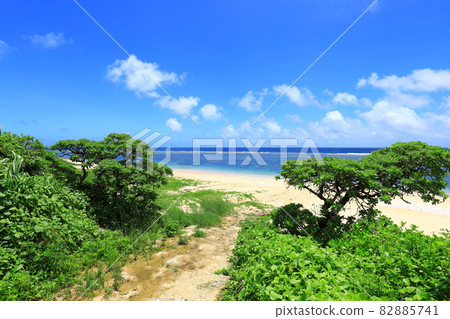 吉野海岸 藍天碧海 吉野海岸 藍天碧海 82885741