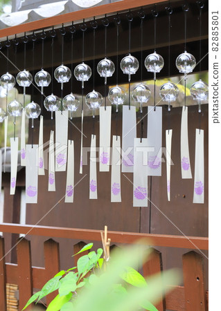 上野東照宮植物園風鈴 82885801