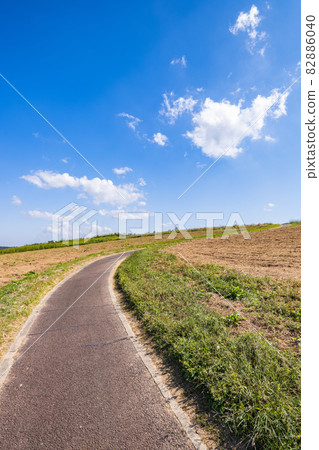 [Nature] Meadow and road under the blue sky Background material 82886040