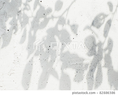 Flat lay with top view on shadow from leaves, leaf and tree branches on gray or white grey old concrete background. Copy space area for text for advertisement. High quality wallpaper photo 82886386