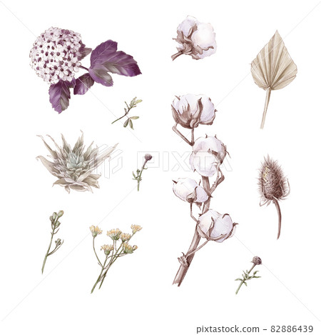 Set of cute cotton flowers branches and leaves. Watercolor illustration Set of cute cotton flowers branches and leaves. Watercolor illustration 82886439