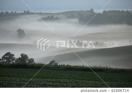 Early spring hill Early spring hill 82886724
