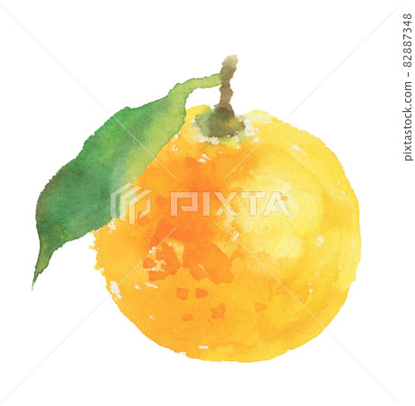 Illustration of Yuzu with leaves drawn in watercolor Illustration of Yuzu with leaves drawn in watercolor 82887348