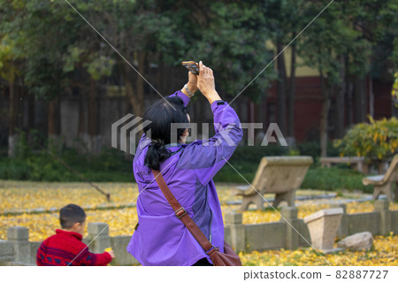 老太太,銀杏樹,拍照,おばあさん、イチョウの木、写真を撮る、taking pictures, 老太太,銀杏樹,拍照,おばあさん、イチョウの木、写真を撮る、taking pictures, 82887727