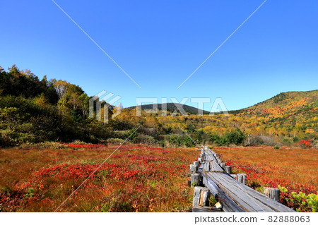 Autumn leaves of Jododaira Marsh / Fukushima City, Fukushima Prefecture Autumn leaves of Jododaira Marsh / Fukushima City, Fukushima Prefecture 82888063