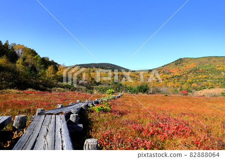 Autumn leaves of Jododaira Marsh / Fukushima City, Fukushima Prefecture Autumn leaves of Jododaira Marsh / Fukushima City, Fukushima Prefecture 82888064