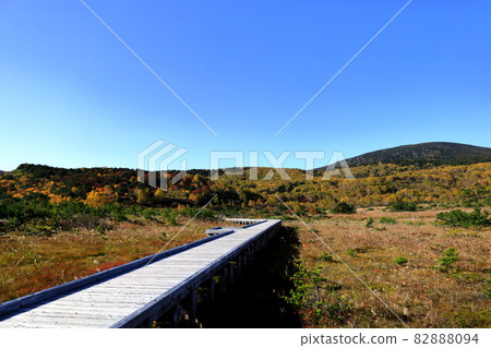 Autumn leaves of Jododaira Marsh / Fukushima City, Fukushima Prefecture Autumn leaves of Jododaira Marsh / Fukushima City, Fukushima Prefecture 82888094