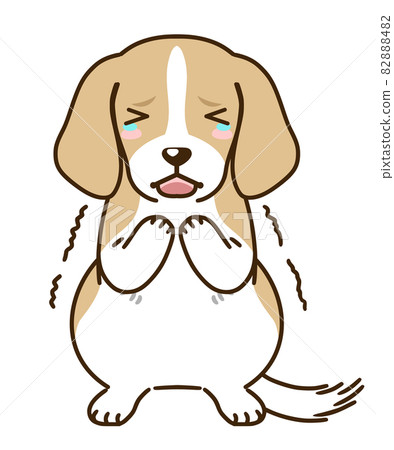 受驚比格犬(檸檬) 受驚比格犬(檸檬) 82888482