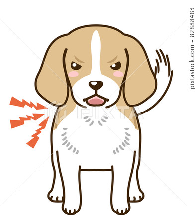 來勢洶洶的小獵犬(檸檬) 來勢洶洶的小獵犬(檸檬) 82888483