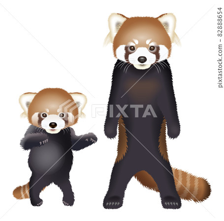 一隻小熊貓的插圖 82888654