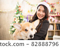 young asian attractive female woman wearing red hat and  playing with her dog  at office weekend holiday activity christmas festival concept 82888796