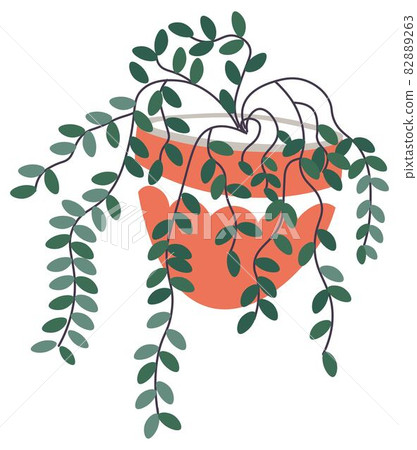 Plant with hanging leaves, foliage decoration Plant with hanging leaves, foliage decoration 82889263