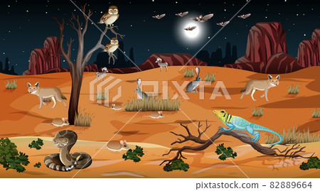 Desert forest landscape at night scene with wild animals 82889664