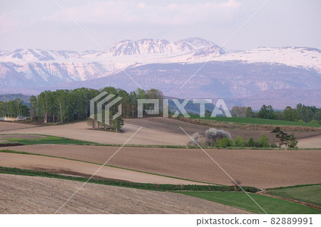 Early spring hill Early spring hill 82889991