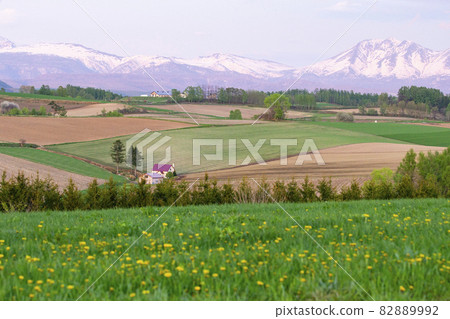 早春山 早春山 82889992