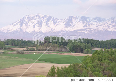 早春山 早春山 82889994