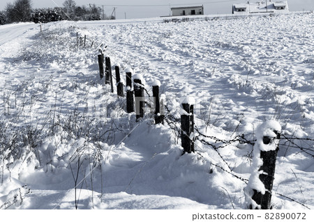 Barbed wire fence with snow 82890072