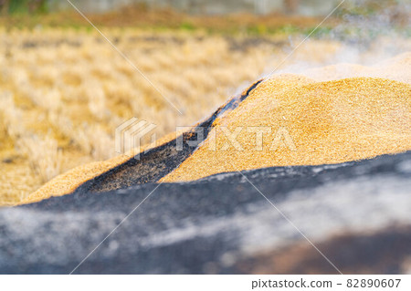 [Autumn material] Kun charcoal making [Nagano Prefecture] 82890607