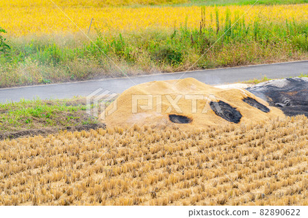 [Autumn material] Kun charcoal making [Nagano Prefecture] 82890622