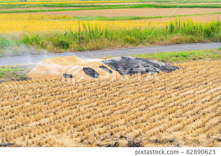 [Autumn material] Kun charcoal making [Nagano Prefecture] 82890623