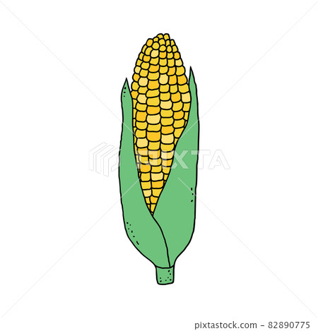 Corn in doodle style Corn in doodle style 82890775