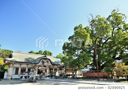 Tatsuta Shrine [Ikaruga Town, Ikoma District, Nara Prefecture] 82890925