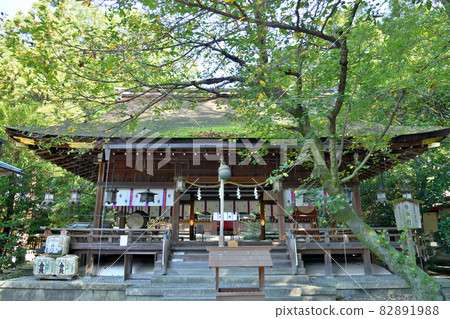 Hirose Taisha Shrine [Kawai Town, Kitakatsuragi District, Nara Prefecture] 82891988