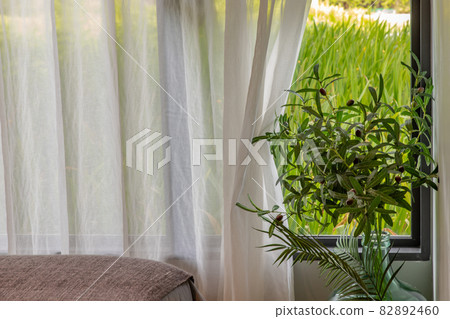 Flowers In a glass bottle next to window in bedroom. Flowers In a glass bottle next to window in bedroom. 82892460