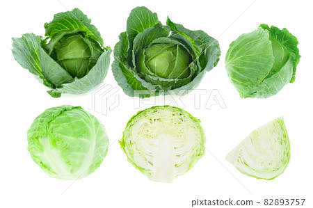 whole green cabbage isolated on white whole green cabbage isolated on white 82893757