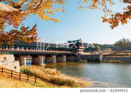 Woljeonggyo Korean traditional bridge at autumn in Gyeongju, Korea 82894052