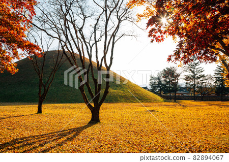 Autumn of Daereungwon ancient tomb in Gyeongju, Korea Autumn of Daereungwon ancient tomb in Gyeongju, Korea 82894067