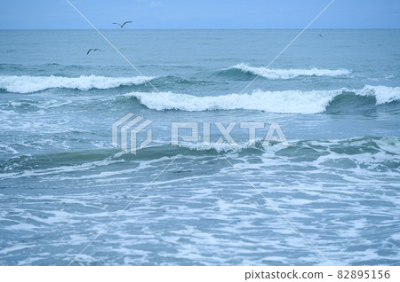 大浪 82895156