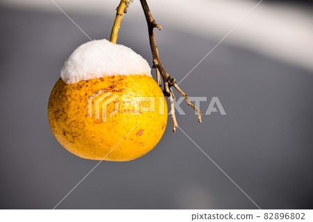 與雪帽的夏天桔子 82896802