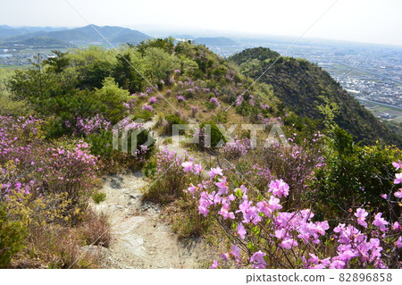 高子山登山步道（兵庫縣加古川市、高砂市） 82896858