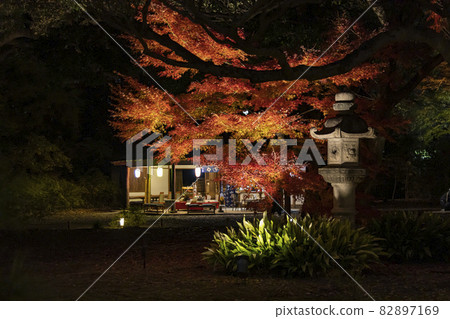 Autumn leaves at Rikugien Garden 82897169