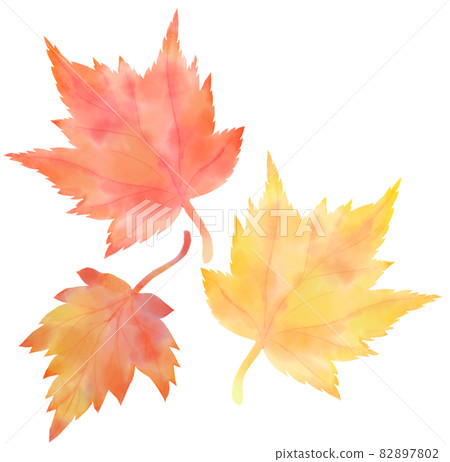 3 maple leaves 82897802