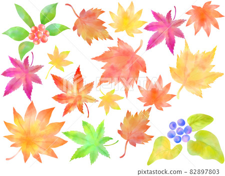 Various fallen leaves 82897803