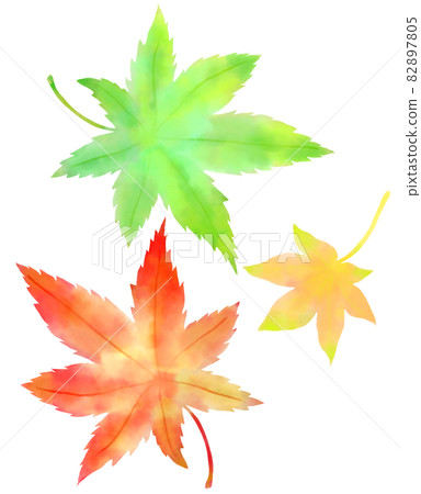3 leaves of autumn leaves 82897805